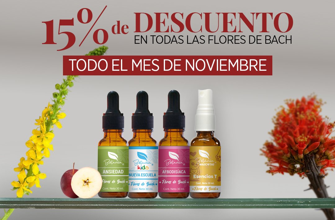 PROMO NOV CLIENTES CEL